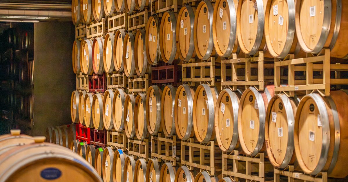 Wine barrels in a winery cellar - flooring considerations for Geelong and Bellarine wineries
